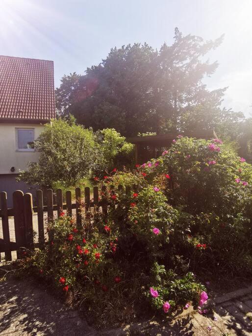 Appartement Jules Heim Mit Herz