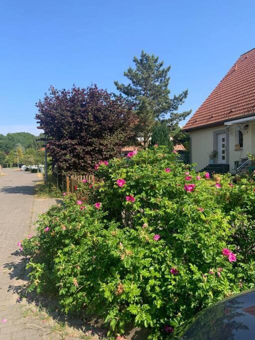 Jules Heim Mit Herz Appartement